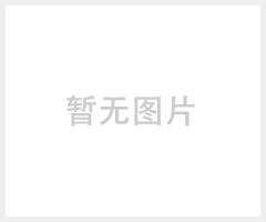 胜一J744X角式排泥阀